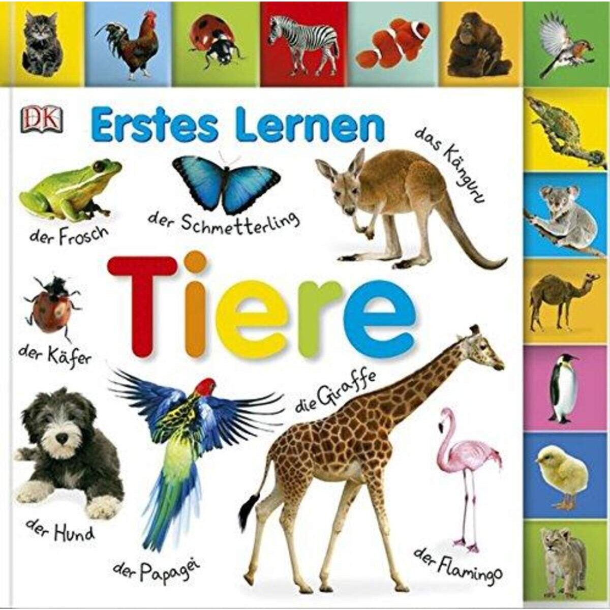 DK Verlag Erstes Lernen - Tiere
