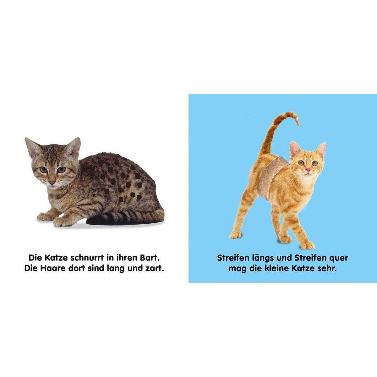 DK Verlag Mein Fühlbilderbuch - Katzen