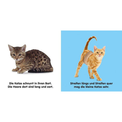 DK Verlag Mein Fühlbilderbuch - Katzen