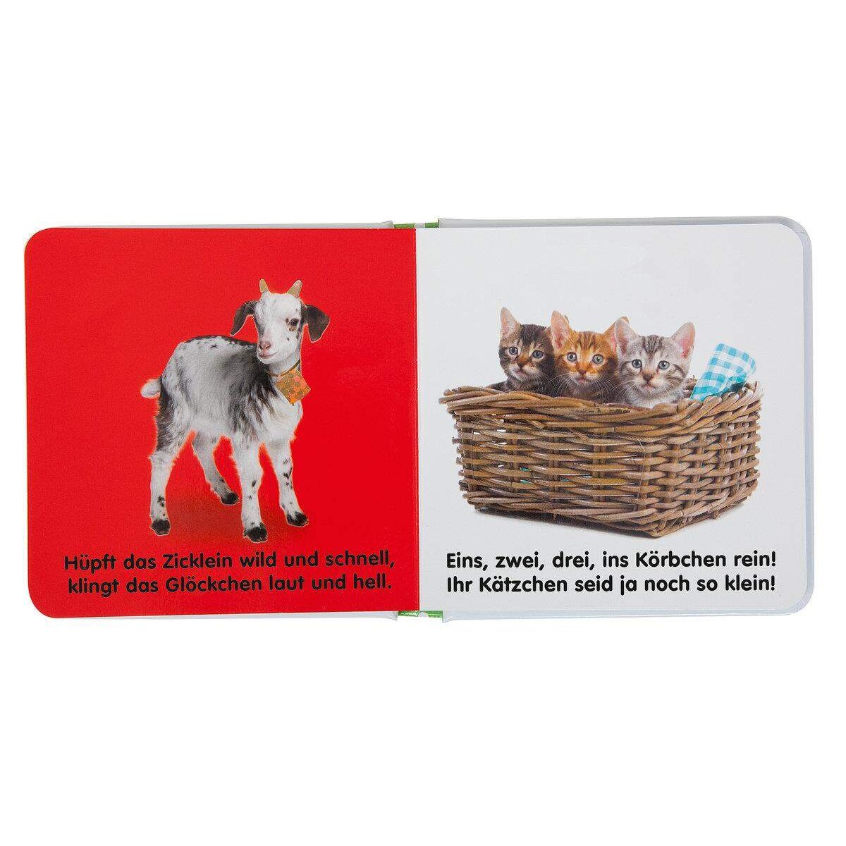 DK Verlag Mein Fühlbilderbuch Streicheltiere