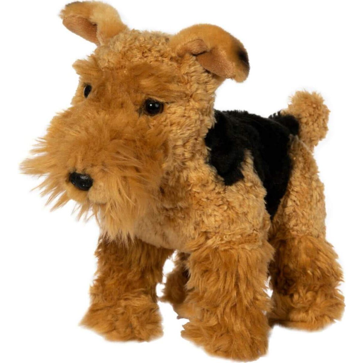 ebo Airedale-Terrier, stehend