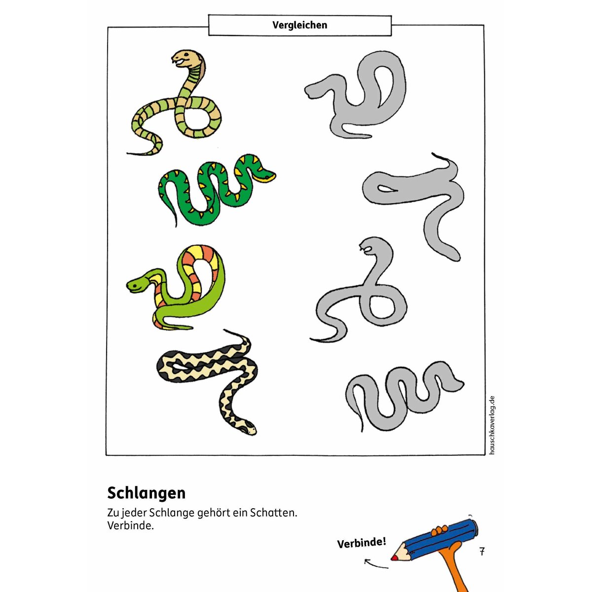 hauschka-verlag-vorschulblock-konzentration-und-4117BF0D6.jpg