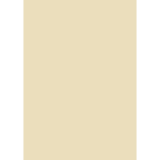 heyda-fotokarton-chamois-ca-50-42FF6ADC1.jpg