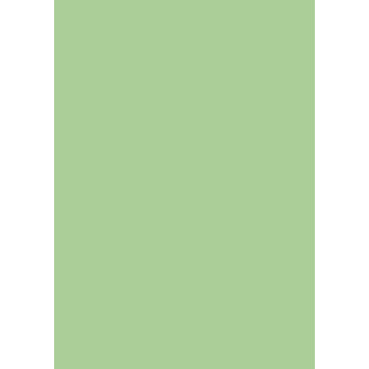 heyda-transparentpapier-hellgruen-ca-70-BBF48E771.jpg