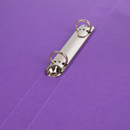 idena-eco-ringbuch-a4--F2677D5B4.jpg