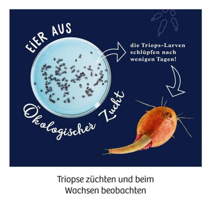 kosmos-fun-science-triops-zuechten-1D01471C3.jpg