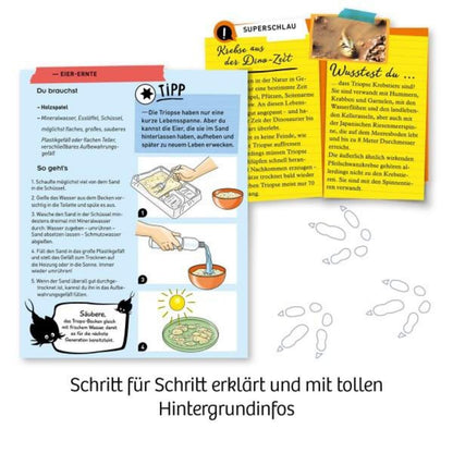 kosmos-fun-science-triops-zuechten-1D01471C5.jpg