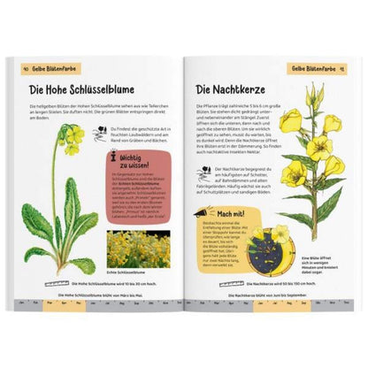 KOSMOS Kindernaturführer Was blüht denn da? 85 heimische Blumen