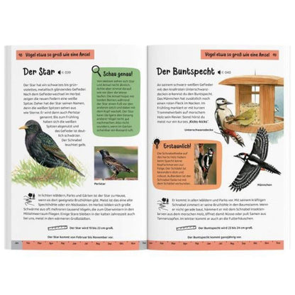 KOSMOS Kindernaturführer Was fliegt denn da?