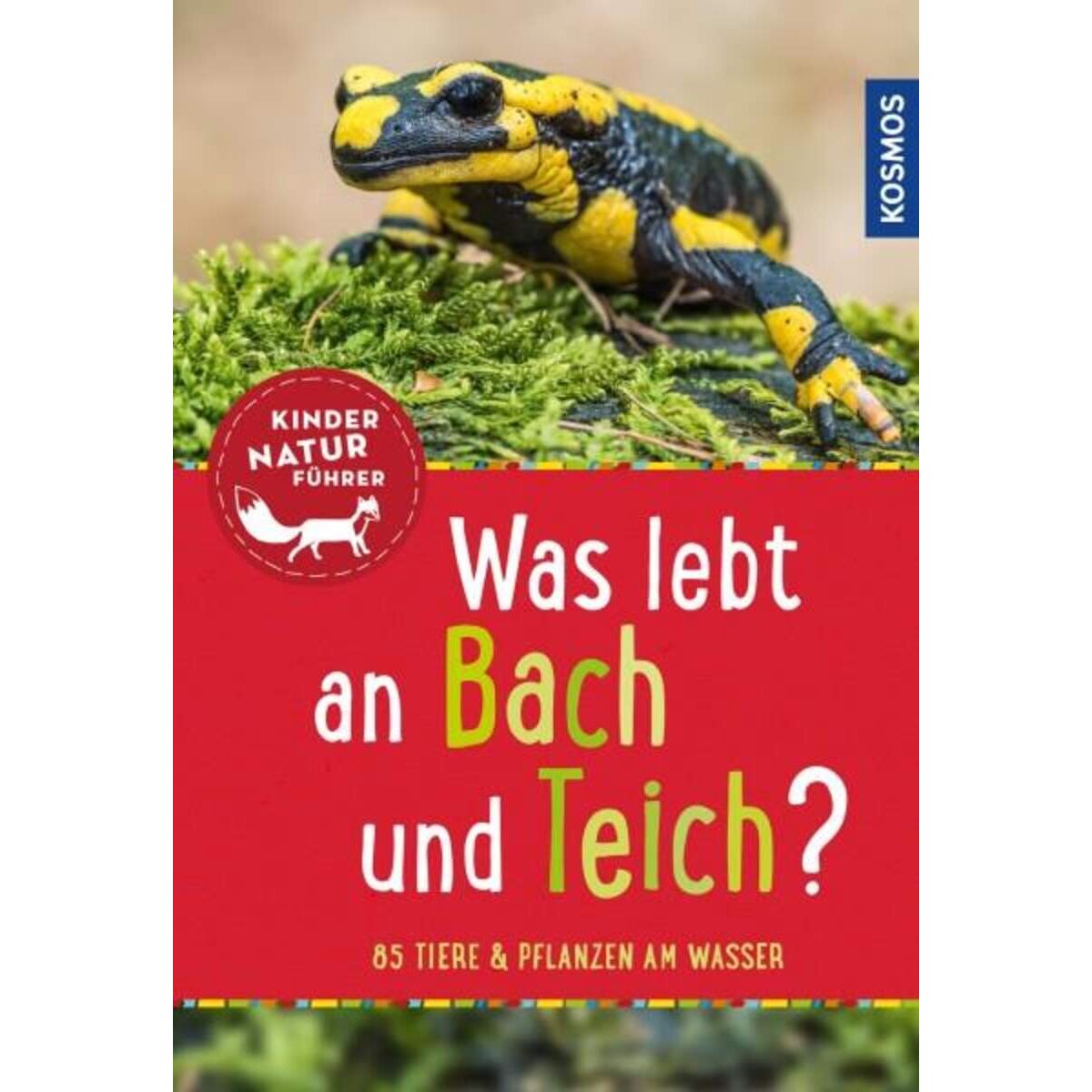 KOSMOS Kindernaturführer Was lebt an Bach+Teich?