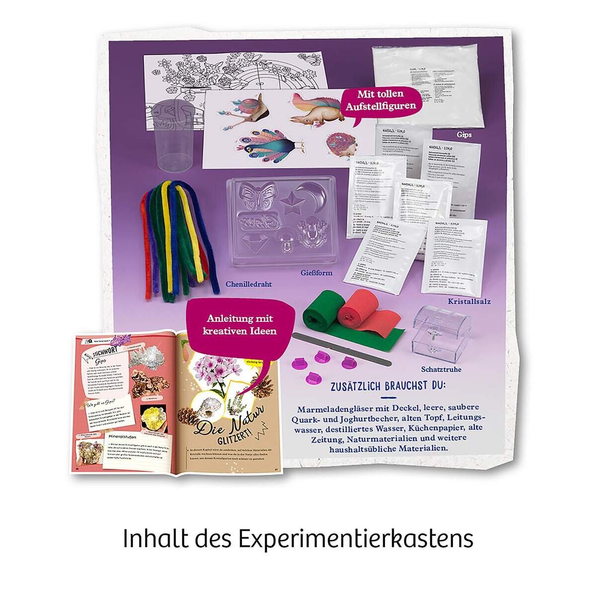 KOSMOS Kristall Garten Experimentierkasten