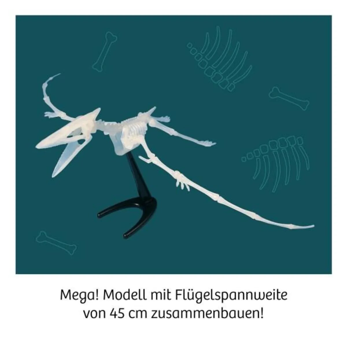kosmos-nachtleuchtender-flugsaurier-CA77971F4.jpg