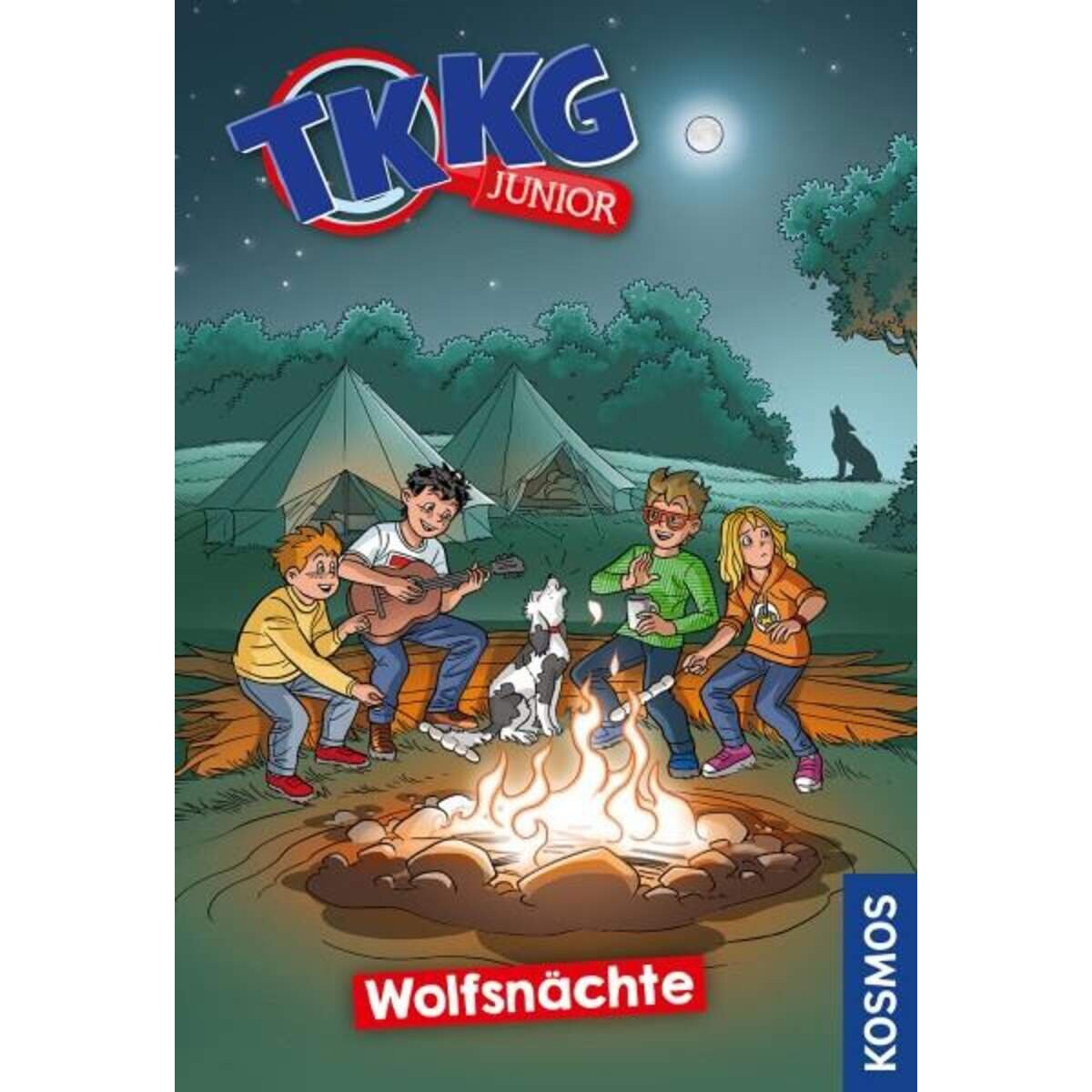 KOSMOS TKKG Junior 13 - Wolfsnächte