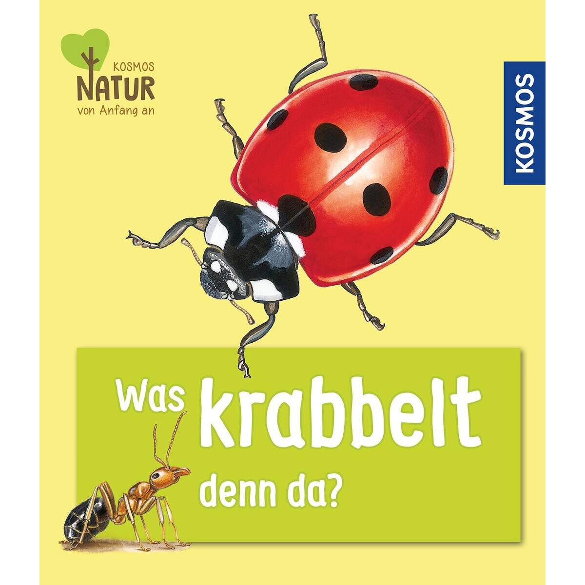 KOSMOS Was krabbelt denn da? Natur von Anfang an