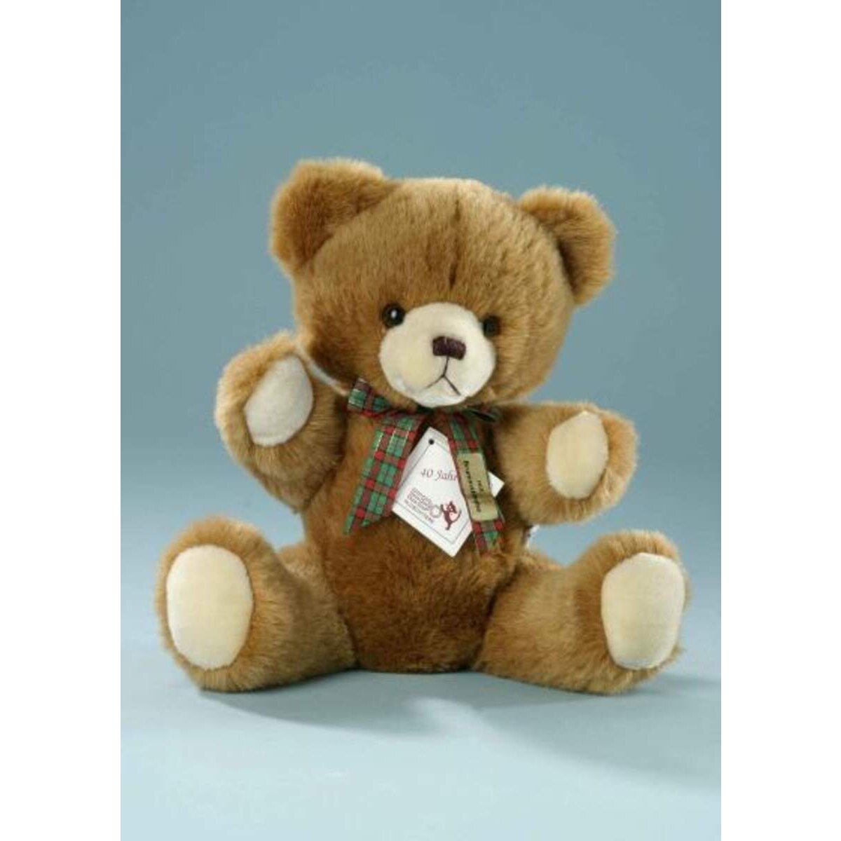 Kuscheliger Scheibenbär mit Brummstimme, 32cm
