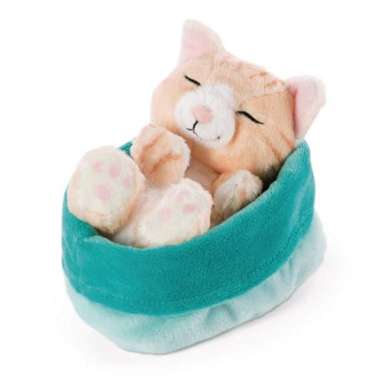 NICI Kuscheltier Katze braun 12cm im blau-grünen Körbchen