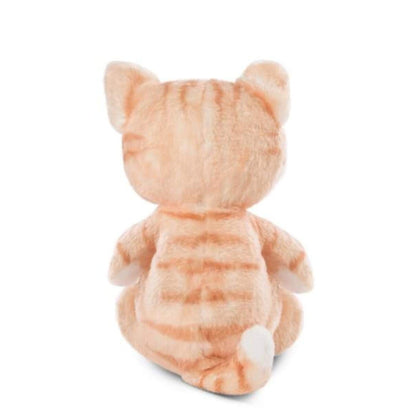 NICI Kuscheltier Katze braun 12cm im blau-grünen Körbchen