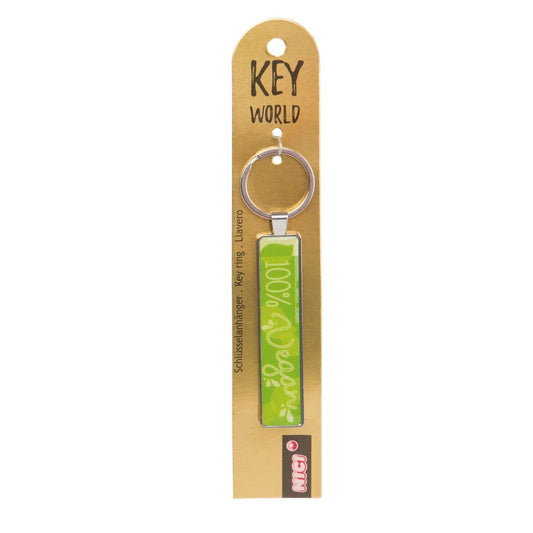 nici-schluesselanhaenger-key-world-100-991EDFBE1.jpg