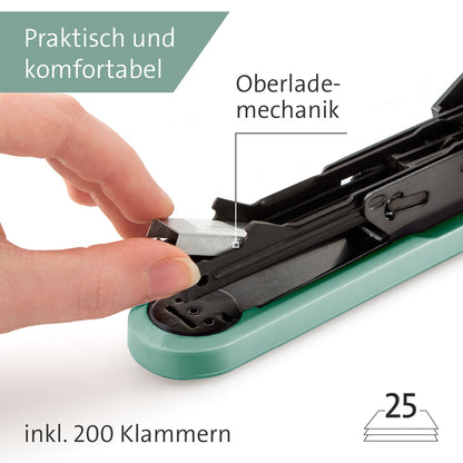 novus-b-2-color-id-66DFE56A4.jpg