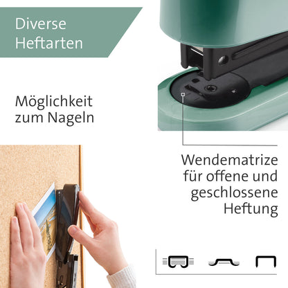 novus-b-2-color-id-66DFE56A5.jpg
