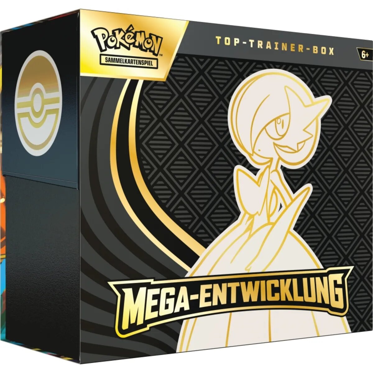 pokemon-top-trainer-box-FFCD33BA1.jpg