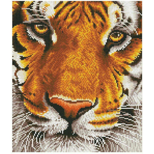 Pracht Diamond Dotz - Tiger, 36 x 42 cm