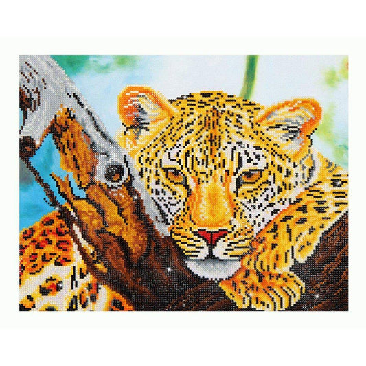 Pracht Diamond Dotz Leopard
