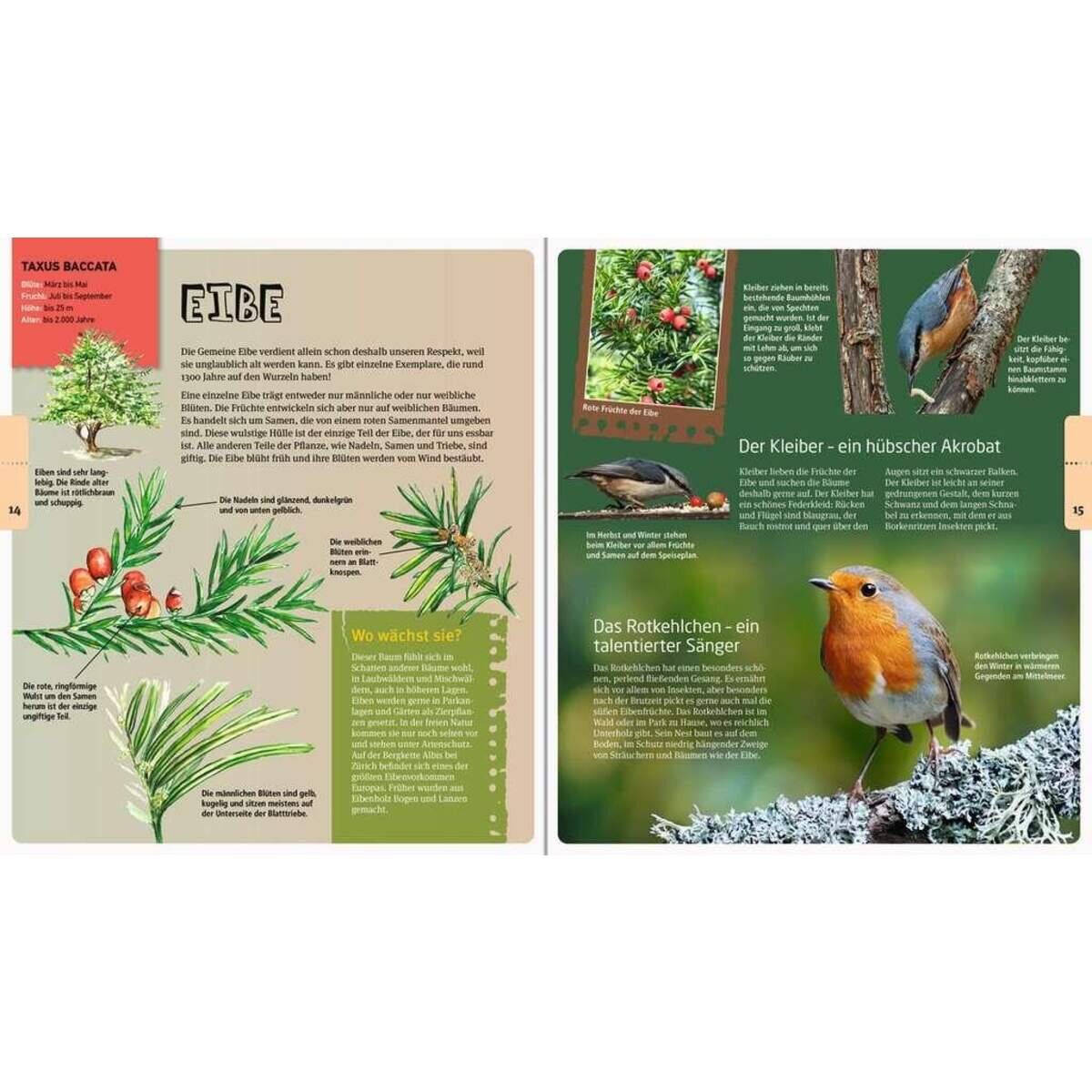 Ravensburger Bäume und ihre Tiere