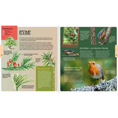 Ravensburger Bäume und ihre Tiere