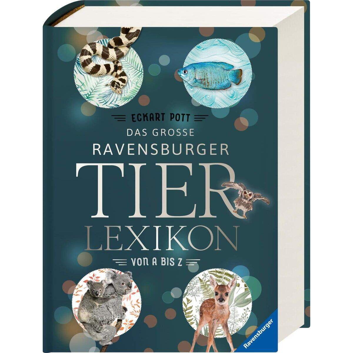 Ravensburger Das große Ravensburger Tierlexikon von A bis Z