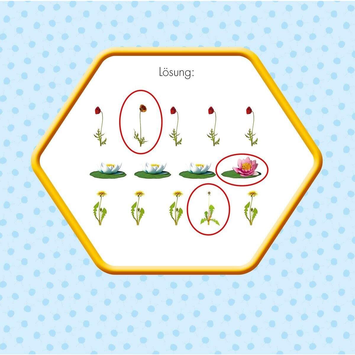 Ravensburger Die Biene Maja: Mein Rätselblock