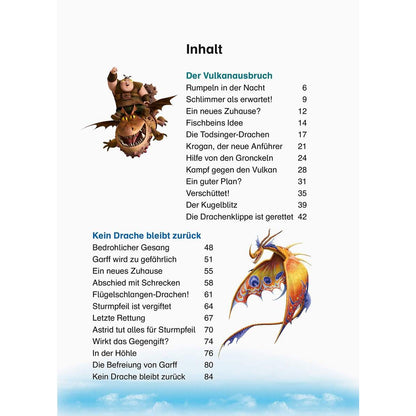 Ravensburger Dreamworks Dragons: Drachenstarke Geschichten für Erstleser