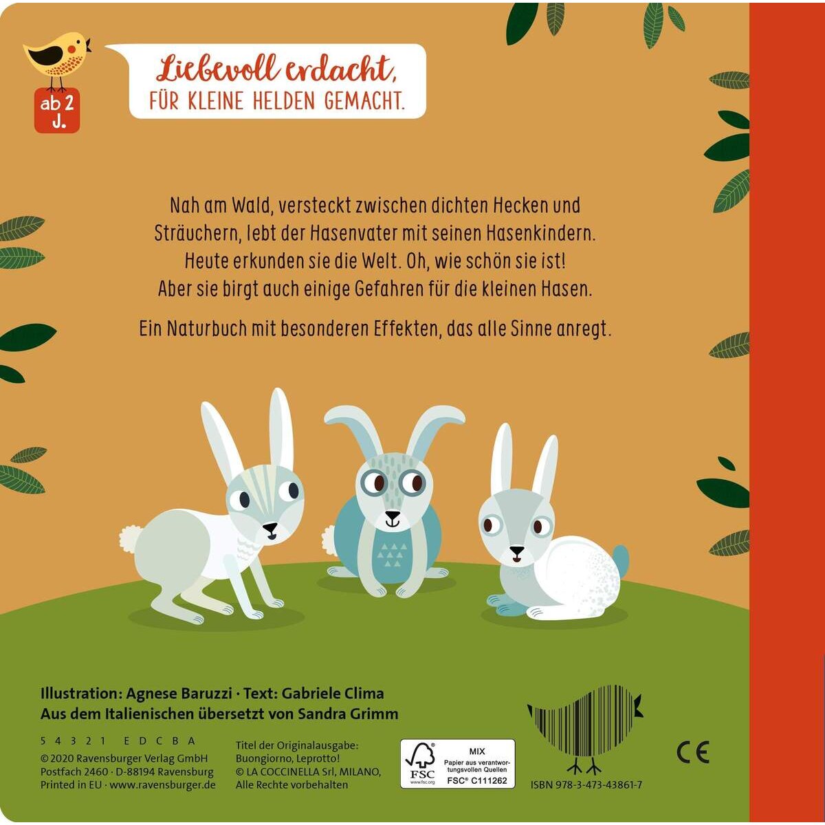 Ravensburger Edition Piepmatz - Wie kleine Tiere groß werden: Der kleine Hase