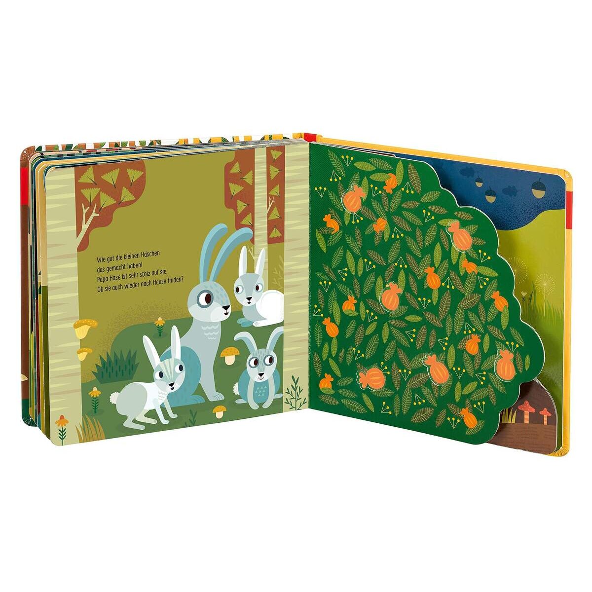 Ravensburger Edition Piepmatz - Wie kleine Tiere groß werden: Der kleine Hase