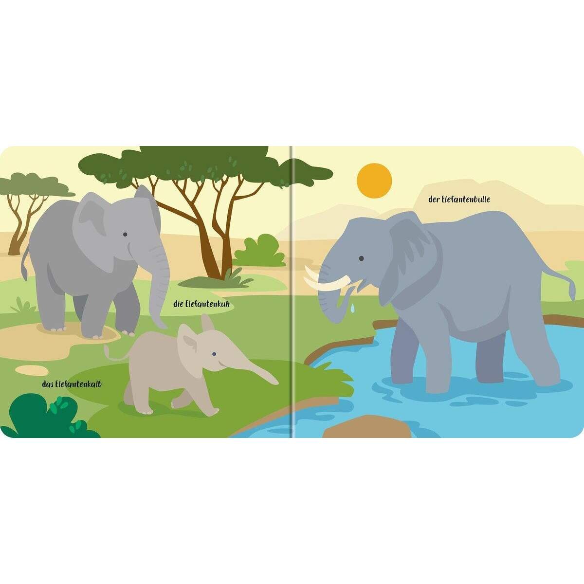 Ravensburger Edition Piepmatz: Vater, Mutter, Kind: So heißen die Tiere