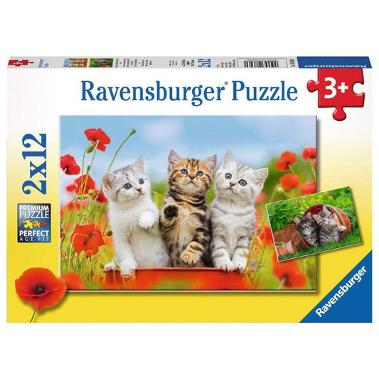 Ravensburger Kinderpuzzle Katzen auf Entdeckungsreise 2x12 Teile