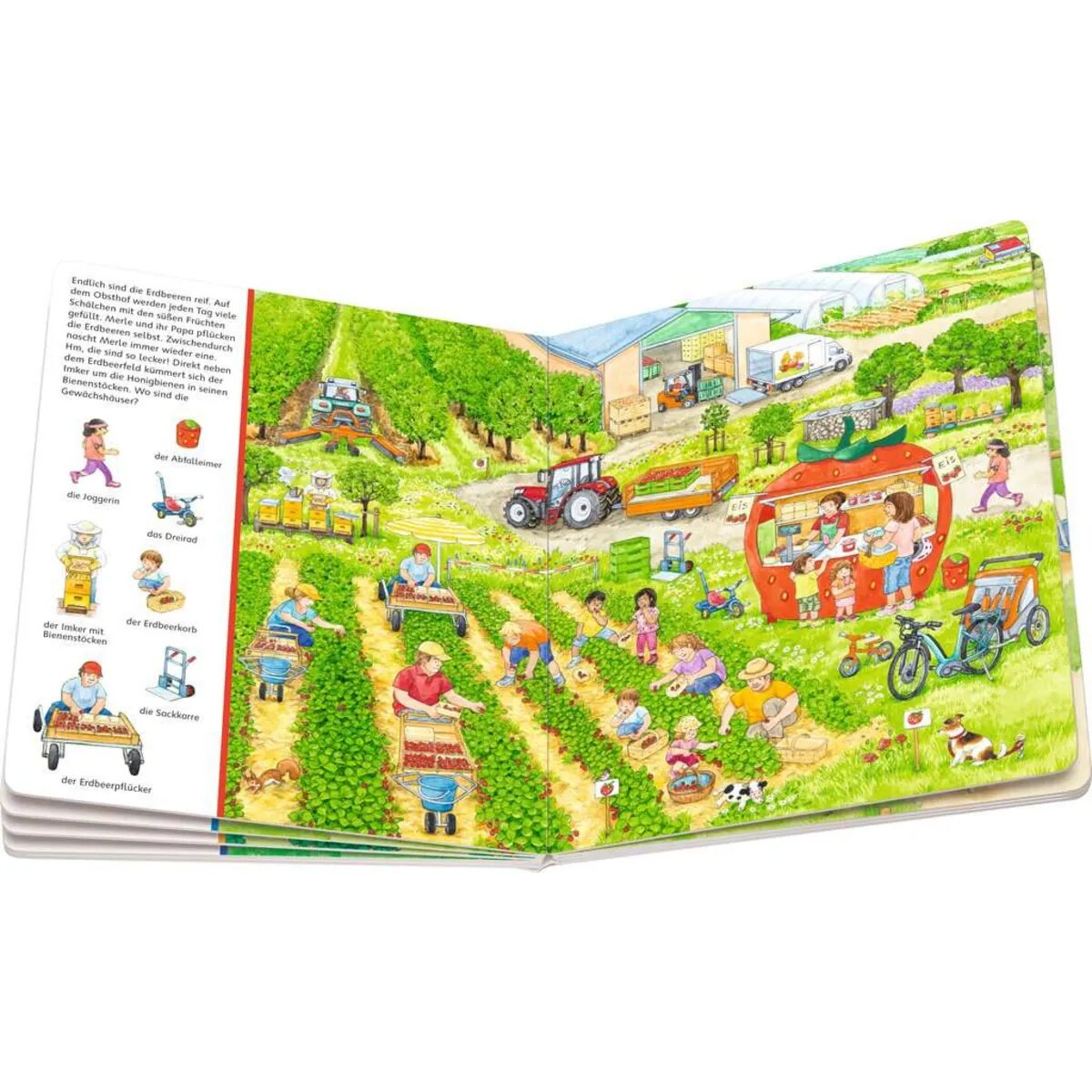 ravensburger-mein-grosses-sachen-suchen-84E4A4003.jpg