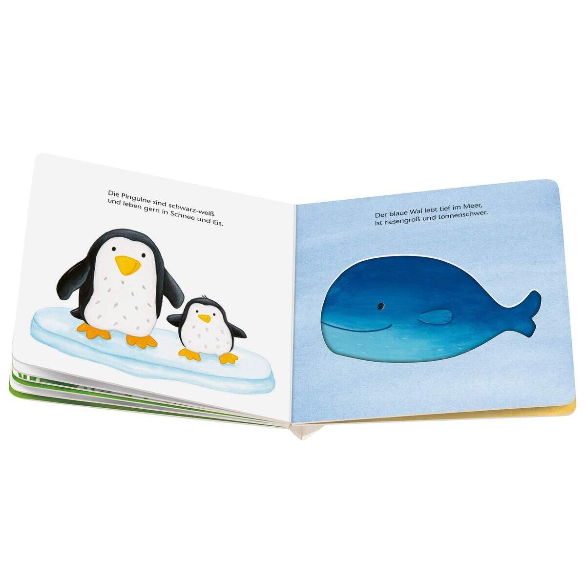 Ravensburger ministeps - Guck mal, die Tiere: Mein Spielbuch zum Tasten und Begreifen