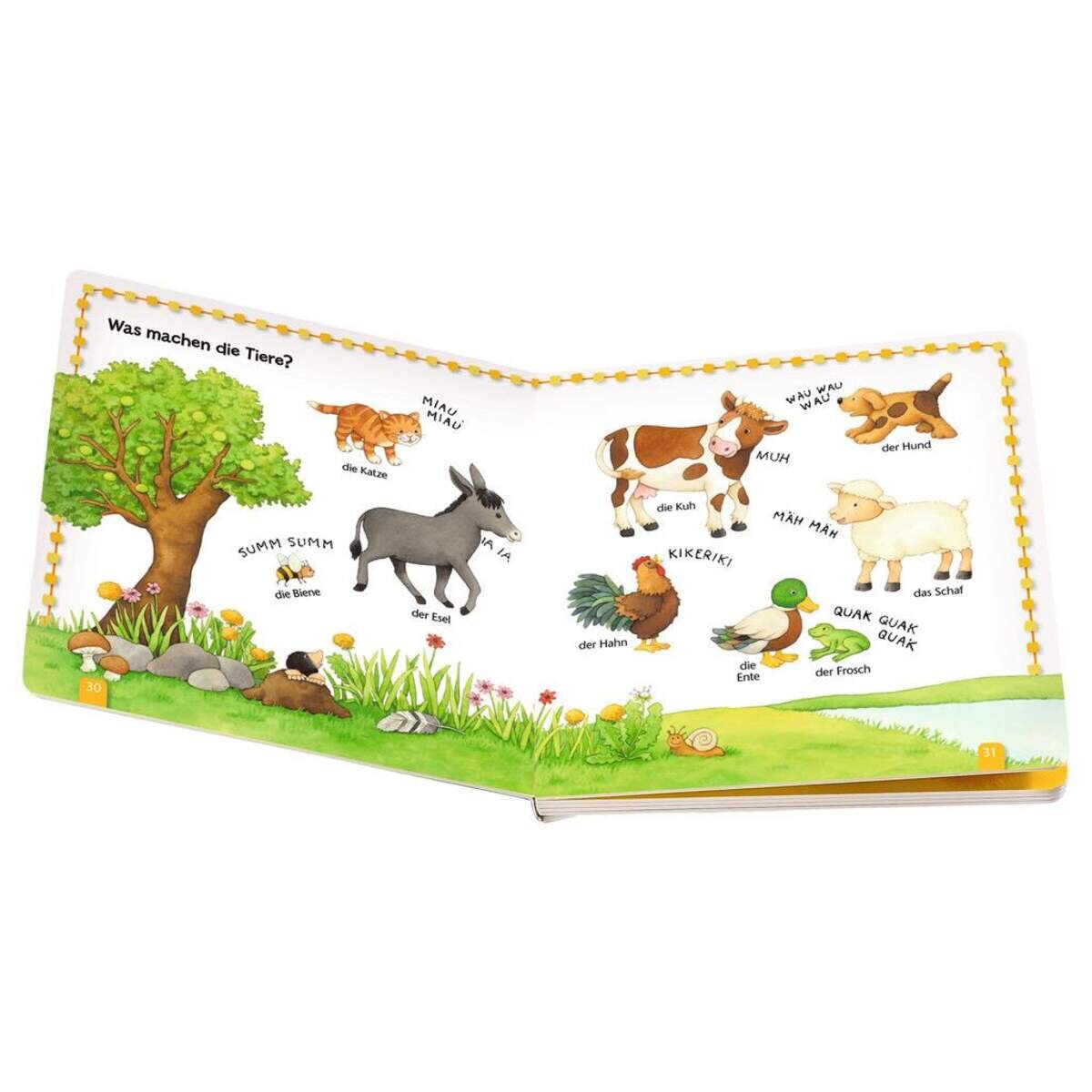 Ravensburger ministeps Mein erstes großes Wörterbuch