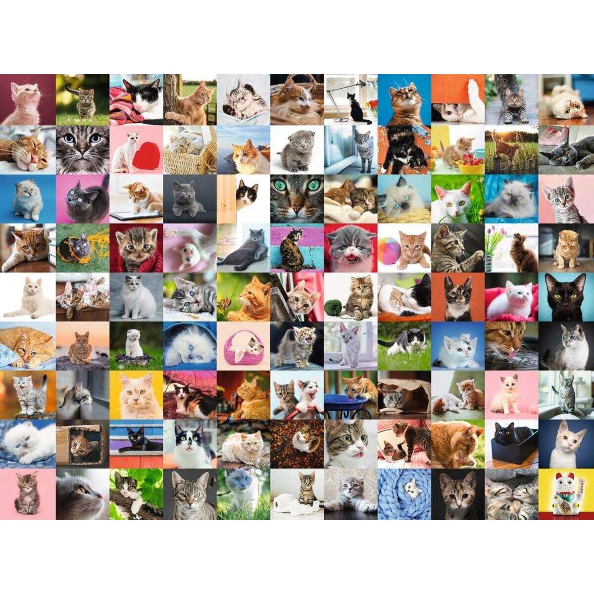 Ravensburger Puzzle 99 Katzen, 1500 Teile