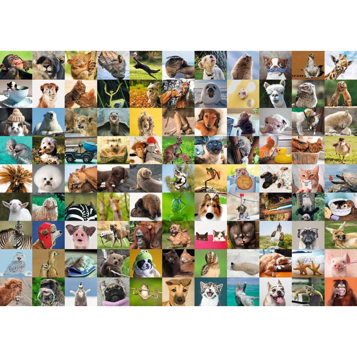 Ravensburger Puzzle 99 lustige Tiere 1000 Teile