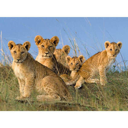Ravensburger Puzzle Löwen Babys 500 Teile