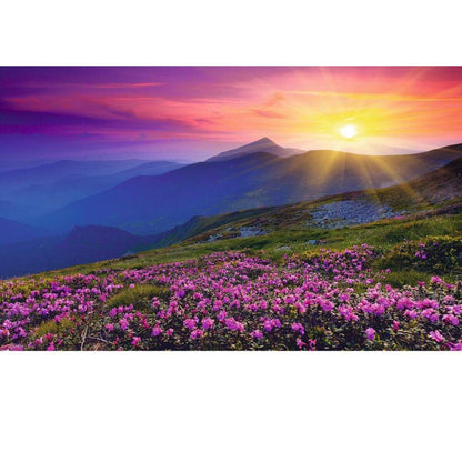Ravensburger Puzzle Nature Edition No 8 Bergwiese im Morgenrot, 1000 Teile