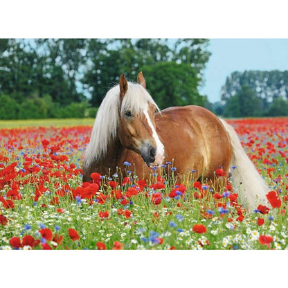Ravensburger Puzzle Pferd im Mohnfeld, 500 Teile