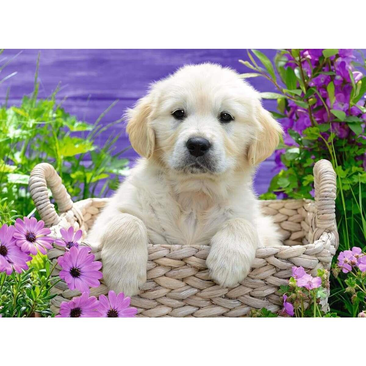 Ravensburger Puzzle Süßer Golden Retriever, 500 Teile