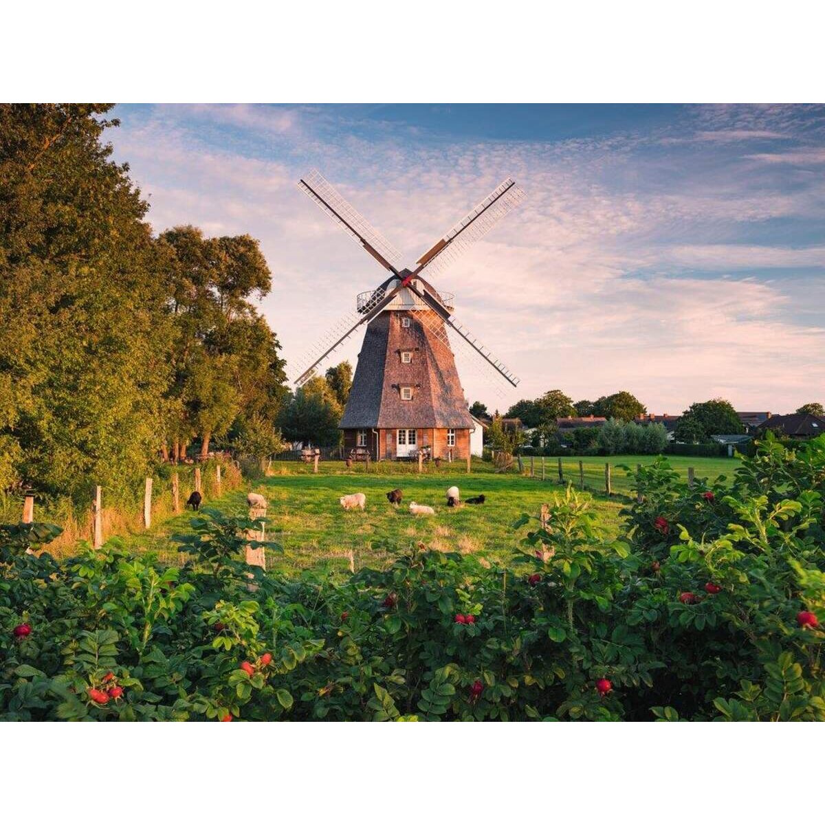 Ravensburger Puzzle Windmühle an der Ostsee, 1500 Teile