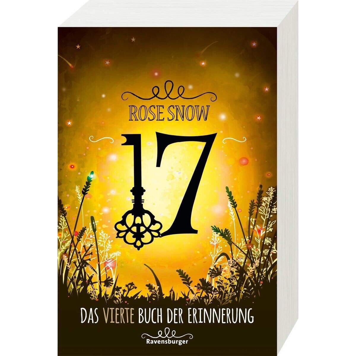 Ravensburger Snow, 17, Das vierte Buch der Erinnerung