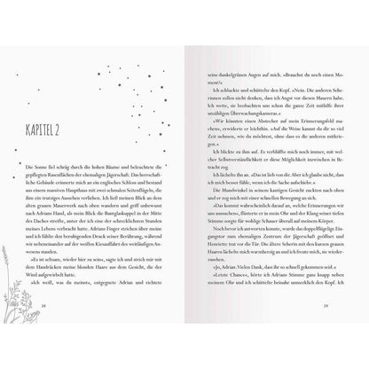 Ravensburger Snow, 17, Das vierte Buch der Erinnerung