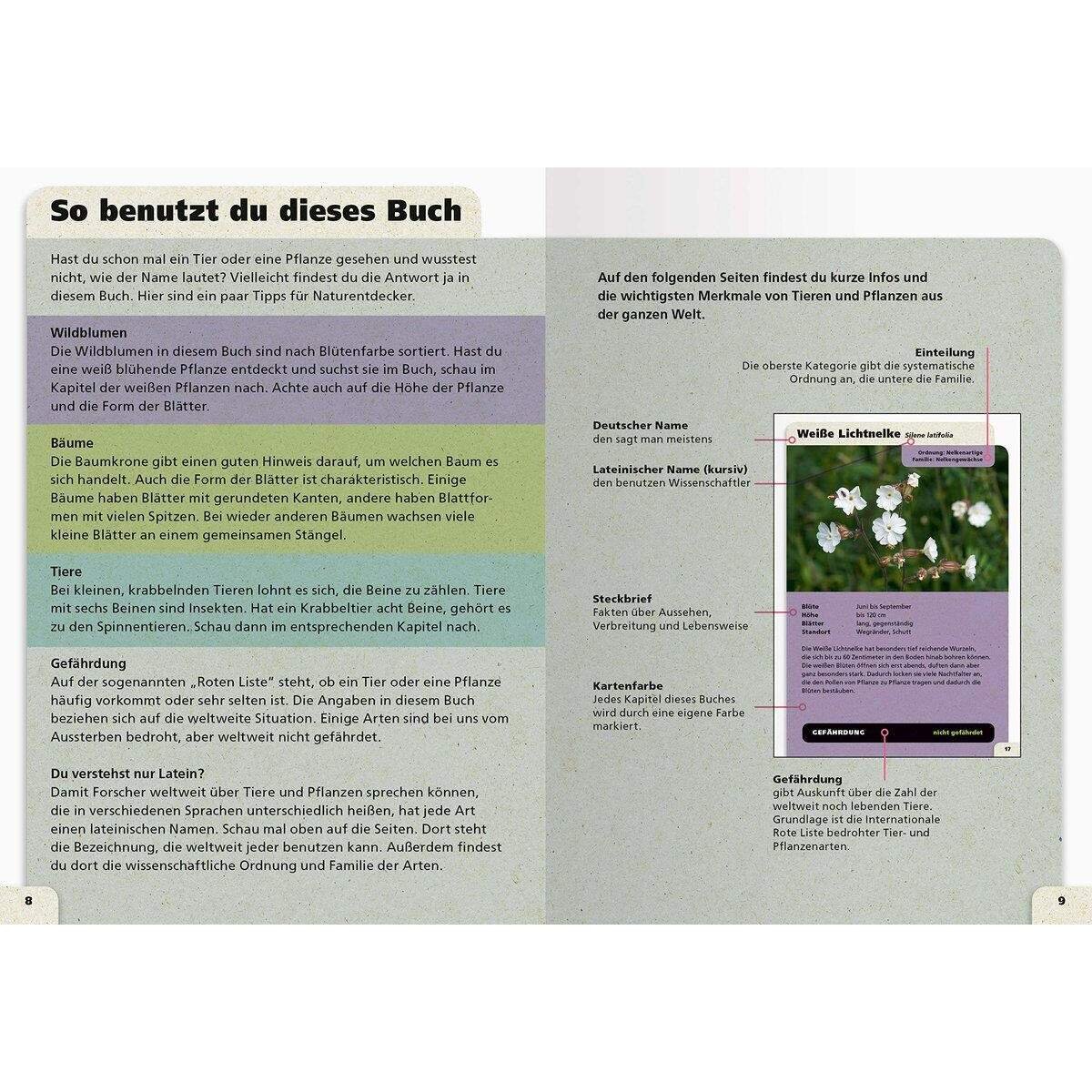 Ravensburger Taschenlexikon der Natur