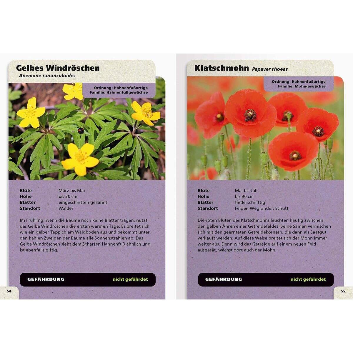 Ravensburger Taschenlexikon der Natur
